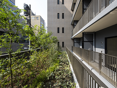 2階屋上｜ザ・パークハウス上野