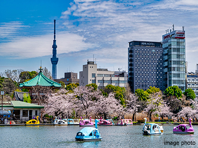上野恩賜公園｜ザ・パークハウス上野